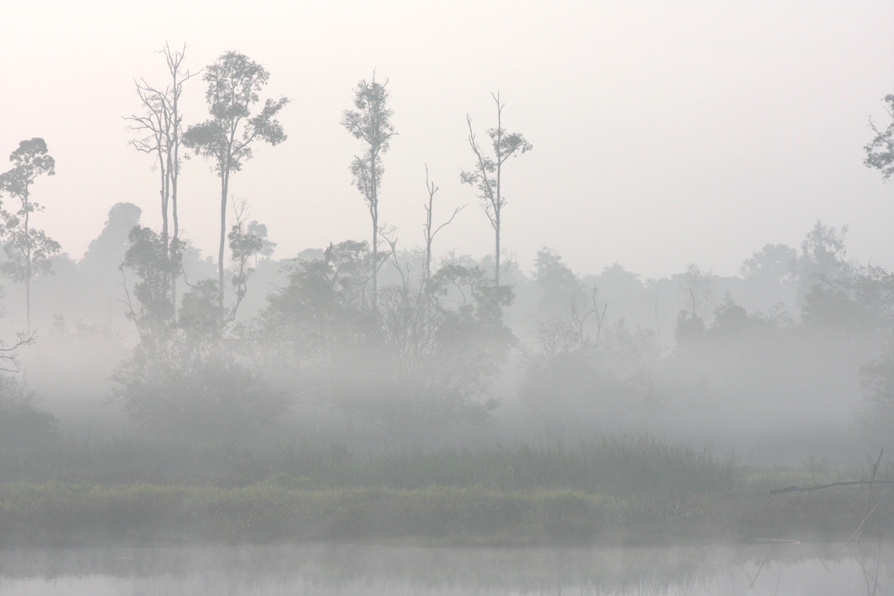 Forest fire smoke covers the landscape at Katingan River, Nanang Indra Kurniawan 3 forest fire smoke