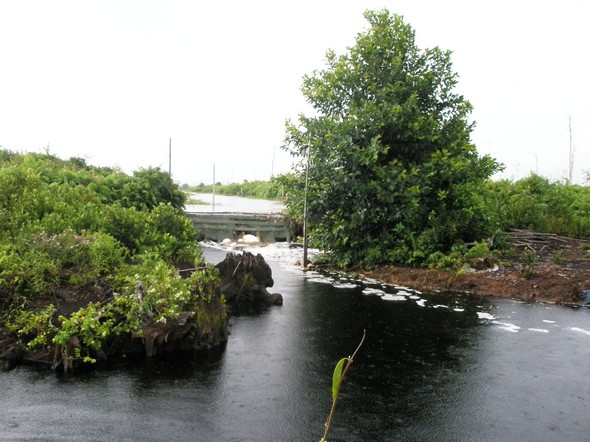 murdiyaso2.jpg murdiyaso2.jpg